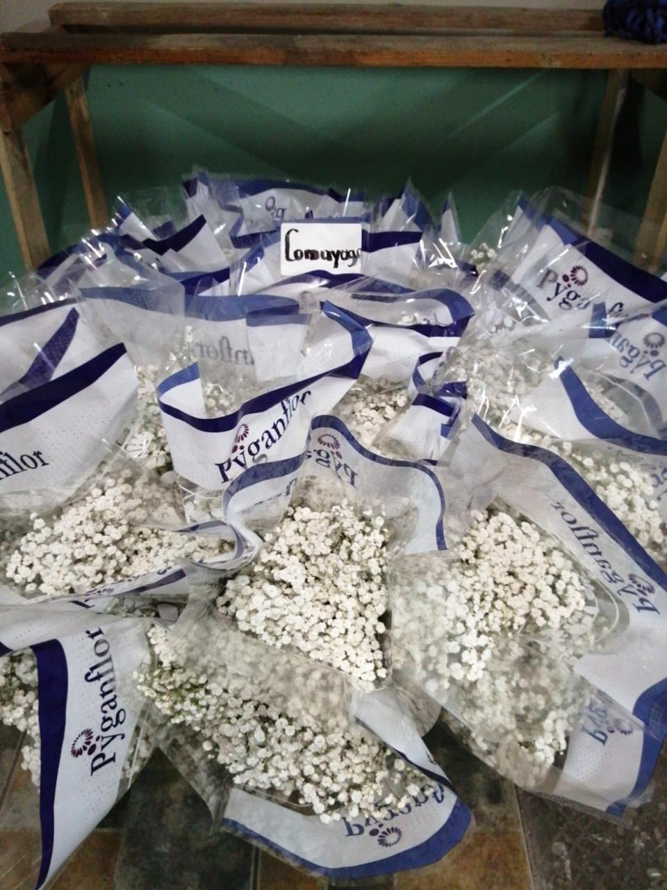 Baby Breath